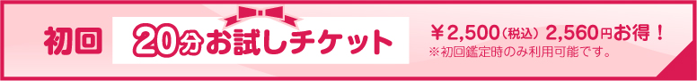 初回20分お試しチケット